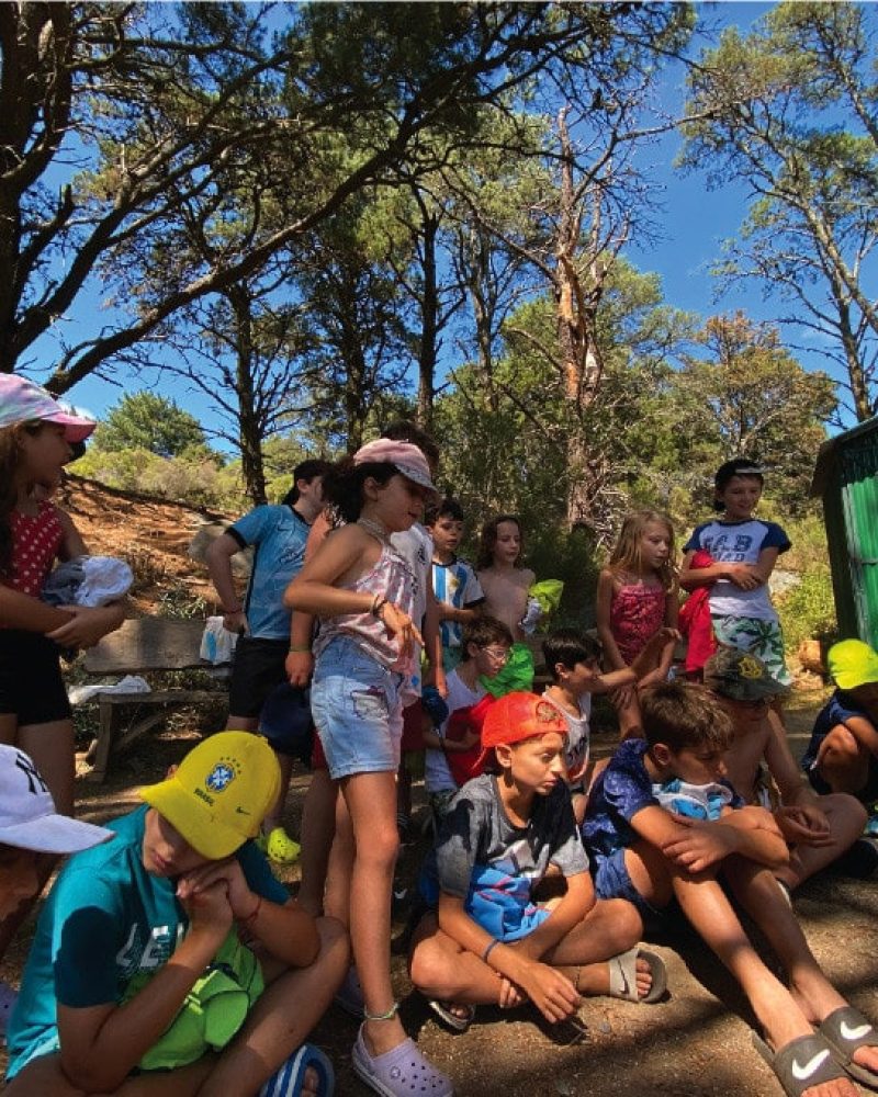 actividades actividades
